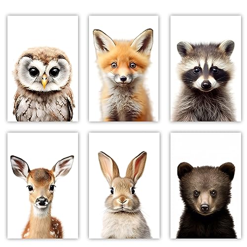 LZIMU Baby Safari Tiere Kinderzimmer Bild auf Leinwand 6 Stück niedliche Eule Fuchs Waschbär Hirsch Kaninchen Bär Poster Leinwand Bild Wanddekoration (Kein Rahmen, 20.00x30.00cms x6) von LZIMU