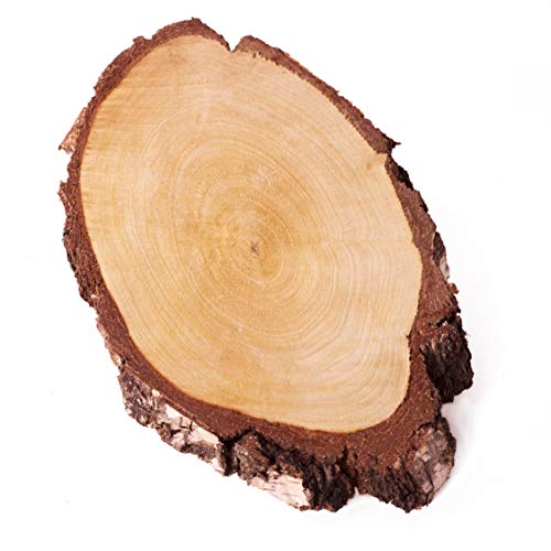 Baumscheibe mit grober Rinde, Birkenscheibe Natur Holzscheibe oval Ø 17-21cm, 10-15mm stark Holzbrett zum Basteln, Rindenbrett, Wurzelholz, Tischdeko, Floristik, Hochzeit (1 Stk.) von La Wooderie