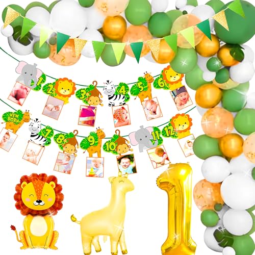 LaVenty Jungle Wild One Birthday Banner 12 Monate Fotobanner Safari Party Geburtstag Dschungel Geburtstagsdeko 1 Jahr alt Geburtstagsdekorationen Wild One Banner Luftballons von LaVenty