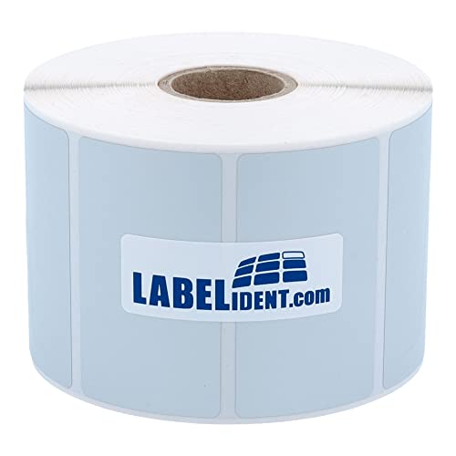 Labelident Thermotransfer-Etiketten auf Rolle silber - 57,15 x 31,75 mm - 2.100 Polyester PET Etiketten für Typenschilder, 1 Zoll (25,4 mm), extrem permanent von Labelident