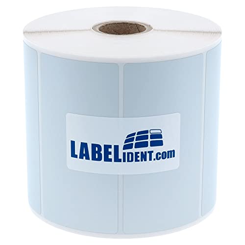 Labelident Thermotransfer-Etiketten auf Rolle silber - 90 x 45 mm - 1250 Polyester PET Etiketten auf 1 Rolle(n), 25 mm (1 Zoll), Typenschild Etiketten selbstklebend von Labelident