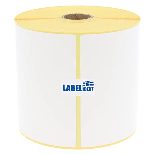 Labelident Versandetiketten DPD - 104 x 150 mm - 475 BPA-freie Thermo-Eco Papier Etiketten auf 1 Rolle(n), 1 Zoll (25,4 mm), Thermodirekt selbstklebend, Trägerperfo. von Labelident