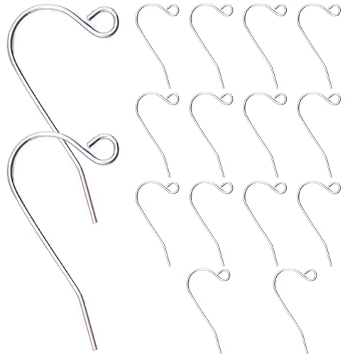 20pcs Ohrringhaken für Schmuck, die Edelstahl -Ohrringhaken mit offenem Schleifen DIY Fishhook -Ohrringhaken für Frauen Juweliermaterial für Frauen machen von Lamppdcor