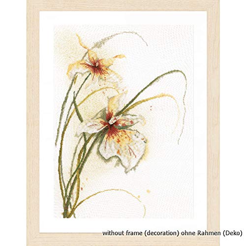 Lanarte PN-0008014 Kreuzstichset Orchidee, Zählmuster Zählmusterpackung, Baumwolle, Mehrfarbig, ca. 50 x 60 cm / 20" x 24" von Lanarte