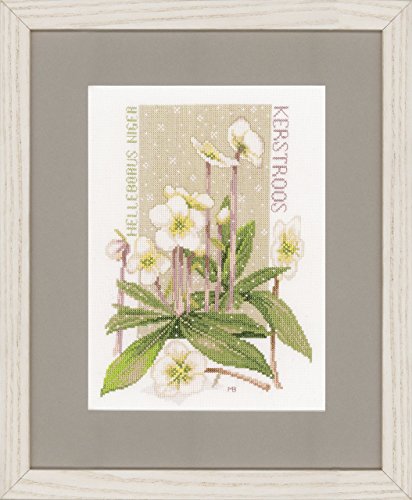 Lanarte Zählmusterpackung Weiße Christrosen Kreuzstichpackung, Baumwolle, Mehrfarbig, 20 x 27.5 x 0.3 cm von Lanarte