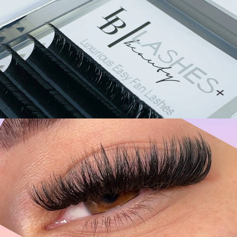 Lux Easy Fanning Volume Wimpern C Curl von Lashesandbeautyshop