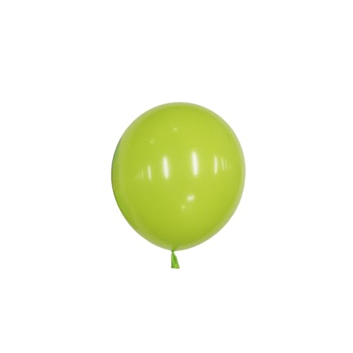 12 inches (30 cm) Thickened Matte Balloons - 50 pieces Natural Latex Balloons - 3.2g/piece (Mint Green) von Latex Bros