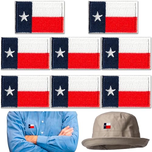 Aufnäher mit Texas-Flagge, bestickt, Texas-Flagge, zum Aufbügeln, Texas-Flagge, zum Aufnähen für Kleidung, Uniform, Hut, Rucksack, Jacke, Hose, Zubehör, 10 Stück von Laughing Lizards