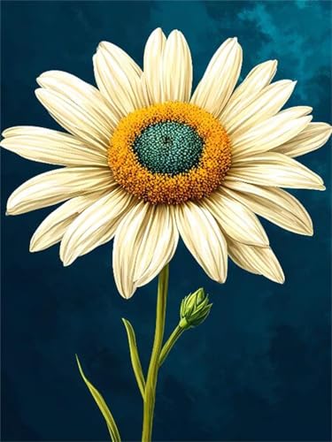 Diamond Painting Diamond Painting Zubehör Daisy 5D Diamond art Painting Full Drill, Rhinestone Crystal Embroidery Canvas, Painting by Numbers, for Children Geschenke Wall Decoration 30x40cm A-32 von Lchtooog