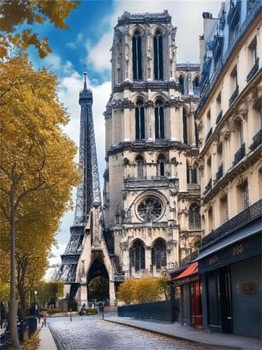 Diamond Painting Diamond Painting Zubehör Notre Dame de Paris 5D Diamond art Painting Full Drill, Rhinestone Crystal Embroidery Canvas, Painting by Numbers, for Geschenke Wall Decoration 80x100cm A-5 von Lchtooog