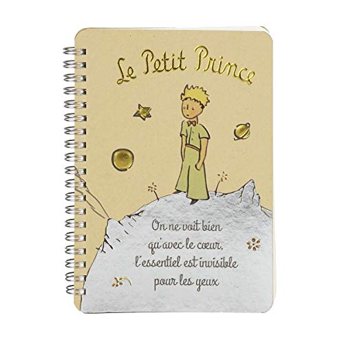 Der Picco Principe Notizblock, Papier, Mehrfarbig, Einheitsgröße von Le Petit Prince