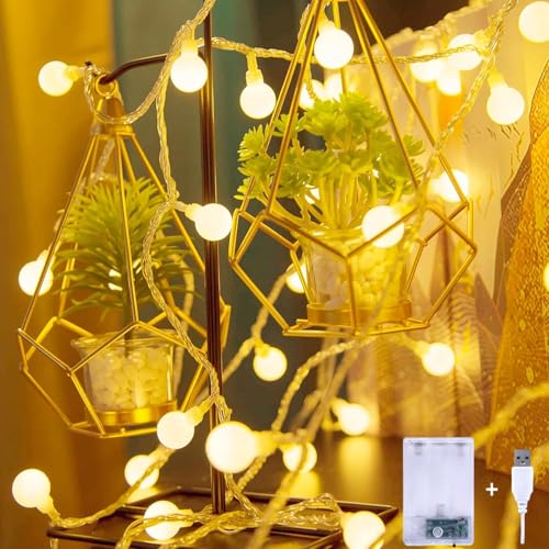 Lecone 3m 20 LED Globe Lichterkette, Batterie und USB lichterkette Warmweiß Innen Deko, Lichterkette für Balkon,Terrasse, Garten, Partys, Weihnachten, Hochzeit von Lecone