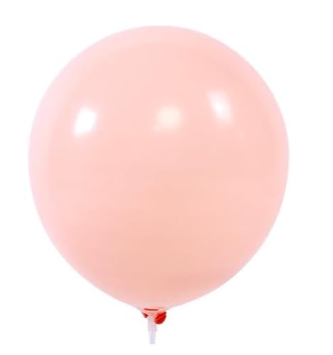 Ledeak Luftballons Rosa Set, 100 Stück 10 Zoll Macaron Latex Helium Ballon für Hochzeit Geburtstagsfeiern Erwachsenentaufe Graduierung Jubiläums Dekorationen (Orange) von Ledeak