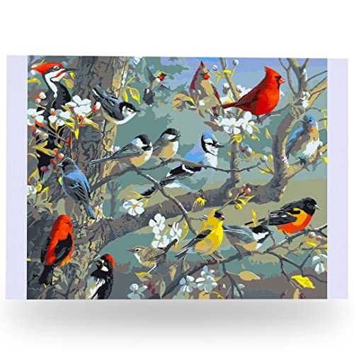 Ledgebay Malen nach Zahlen für Erwachsene: Zahlen-Malset für Anfänger bis Fortgeschrittene - DIY-Kunst- und Bastelprojekte - Kits enthalten - (Obstgarten-Puzzle, 40,6 x 50,8 cm, ungerahmt) von Ledgebay