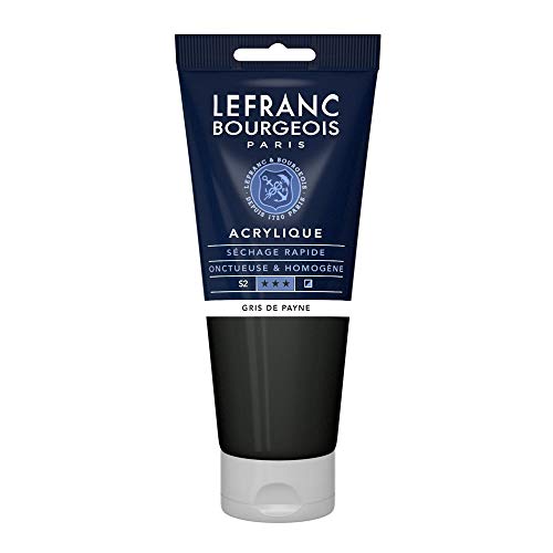 Lefranc Bourgeois 300405 Fine Acrylfarbe - Paynesgrau, 200ml Tube, cremige Acrylfarbe auf Wasserbasis, schnell trocknend, lichtecht, wasserfest von Lefranc Bourgeois