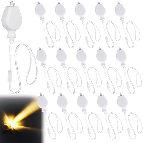 LED Ballonlichter, 16 Stück Laternenlichter, Lampions Licht Warmweiß, Batteriebetriebene Ballonlichter, Mini Led Licht von Hand Gezogenes Weißes Seil für Hochzeit, Halloween, Weihnachten, Party von Leikurvo