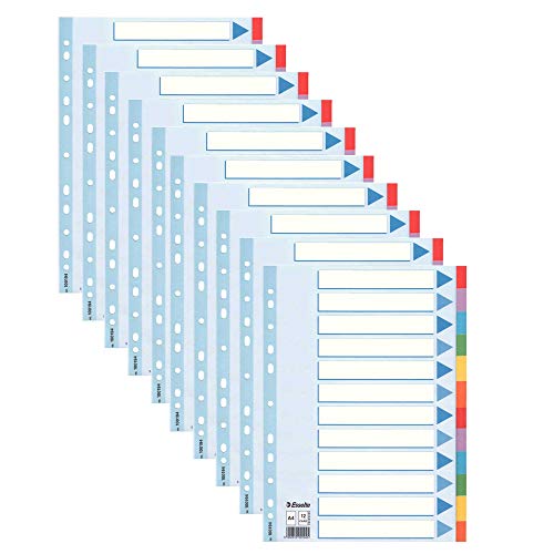 10 Stück Leitz Kartonregister Standard Blanko, A4, Karton, 12 Blatt von Leitz