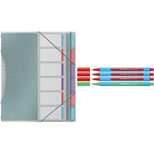 Esselte A4-Projektordner mit 6 Registern, klaren Kunststofftaschen & Schneider 152272 Slider Edge XB Lehrer Korrekturset (4er Set Kugelschreiber im Aufsteller, Strichbreite XB) rot, grün von Leitz