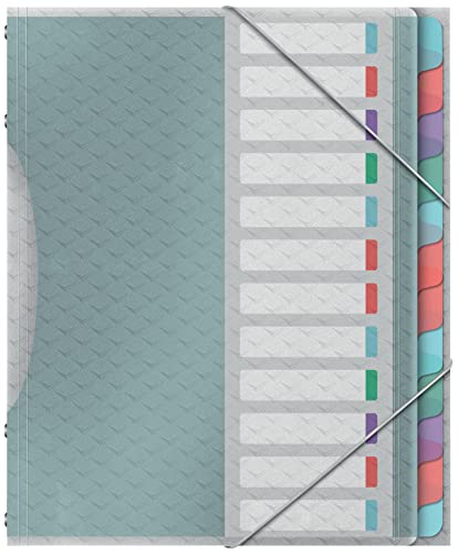 Esselte A4-Projektordner mit 12 Taben, Ordnungsmappe mit Register zur Schreibtischorganisation und Aufbewahrung von Projektunterlagen, Mit Klappen und Gummizug, Colour'Breeze Serie, Mehrfarbig, 626256 von Esselte