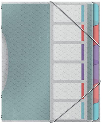 Esselte A4-Projektordner mit 6 Taben, Ordnungsmappe mit Register zur Schreibtischorganisation und Aufbewahrung von Projektunterlagen, Mit Klappen und Gummizug, Colour'Breeze Serie, Mehrfarbig, 626255 von Esselte