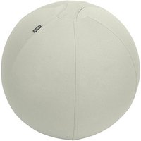 LEITZ Ergo Active Sitzball hellgrau 65,0 cm von Leitz