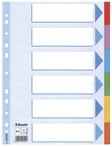 Leitz 100192 Kartonregister Standard Blanko, A4, 6 Blatt mit farbigen Taben, weiss (20er Pack, 6-teilig) von Leitz