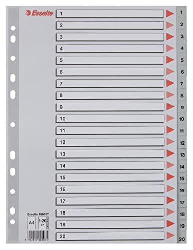 Leitz Esselte Register für A4, Deckblatt aus Karton und 20 Trennblätter aus Kunststoff, Taben mit Zahlenaufdruck 1-20, Überbreite, Grau, 100107 von Leitz