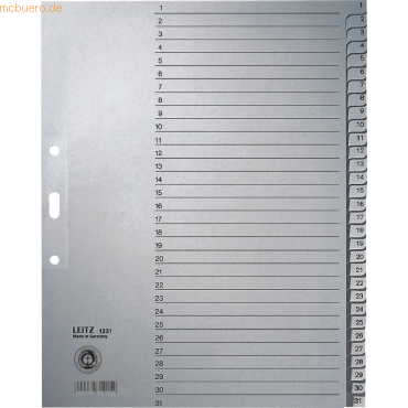 Leitz Register A4 1-31 100g/qm grau von Leitz