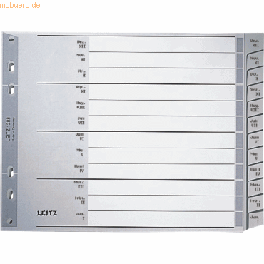 Leitz Register A4 Dez-Jan PP grau mit Deckblatt von Leitz