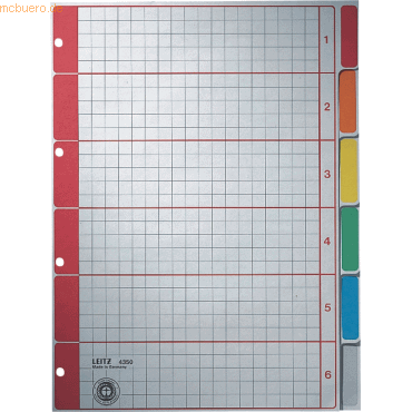 Leitz Register A4 blanko 230g/qm Karton grau 6-teilig von Leitz