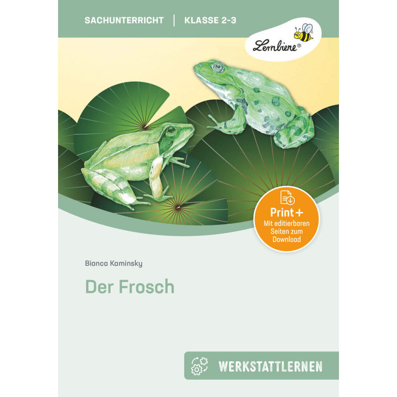 Der Frosch - Bianca Kaminsky, Gebunden von Lernbiene Verlag