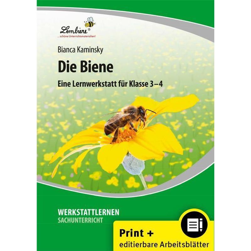 Die Biene - Bianca Kaminsky, Loseblatt von Lernbiene Verlag