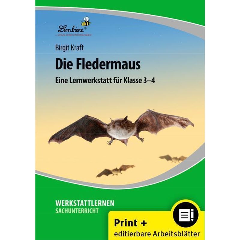 Die Fledermaus, M. 1 Cd-Rom - Birgit Kraft, Gebunden von Lernbiene Verlag