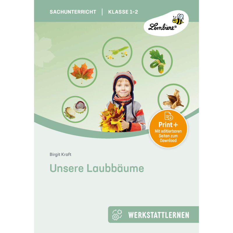 Unsere Laubbäume - Birgit Kraft, Gebunden von Lernbiene Verlag