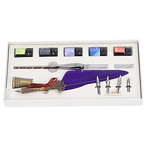 LetCart Schreibstift-Geschenkbox-Set, Kalligraphie-Stift-Set, Glas-Tinte, Feder-Füllfederhalter mit austauschbarer Feder, Schreib-Geschenkbox-Set, Violett SP118014 von LetCart