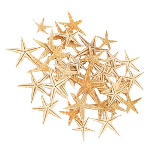 Levemolo Mini-Landschaftsskulptur -Ornament Box mit Mikro-Ornament Zement Strass Beige von Levemolo