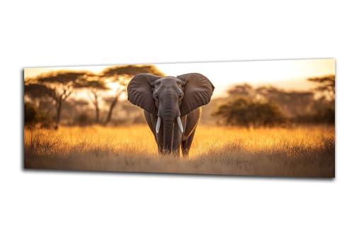 Diamond Painting Erwachsene Elefant Diamond Painting Sonnenuntergang 5D DIY Full Drill Crystal Stickerei Malen Nach Zahlen Kinder Anfänger Mosaik Bastelset mit Zubehör, Home Geschenk 70x210 cm-z42 von Lezewege