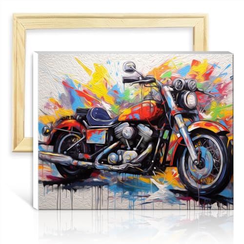 LiHEQING Einfach zu malendes Kunstwerk, Motorradrennfahrer, Ölgemälde zum Selbermachen, Malen nach Zahlen-Set, Kunst-Ölgemälde für Erwachsene, auf Leinwand, ohne Rahmen (40 x 50 cm) von LiHEQING