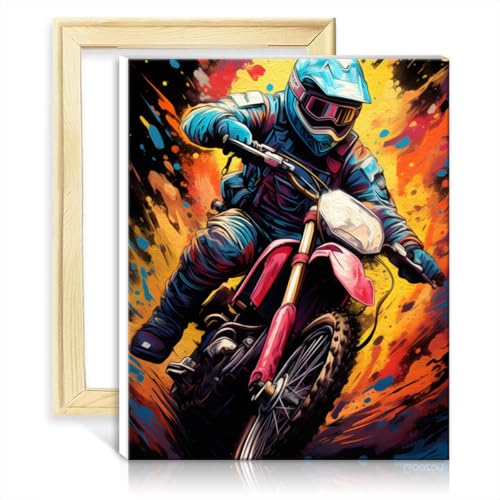 LiHEQING Malset für Wanddekoration, Space Biker, Malen nach Zahlen, Erwachsene, Kinder, Anfänger, für Wanddekoration zu Hause, Geschenke, ohne Rahmen (30 x 40 cm) von LiHEQING