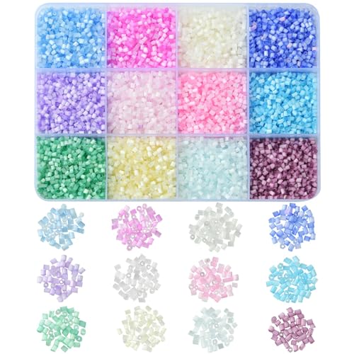 LiQunSweet 12300 Stück 12 Farben Imitation Cat Eye Glas Runde Stiftperlen Rocailles Kleine Röhrchen Spacer Lose Perlen Kit für DIY Perlen Schmuckherstellung – 2 × 1,8 mm von LiQunSweet