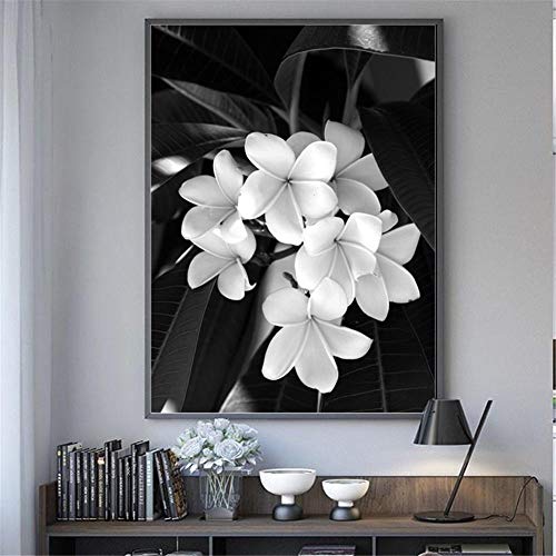 DIY 5D Diamond Painting Diamant Malerei kit Malen nach Zahlen Schwarze und weiße Blumen Crystal Strass Stickerei Home Wall Decor Full Drill Set für Erwachsene Kinder Runder Diamant 30x40cm von Liasng