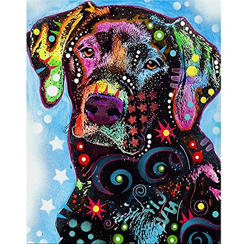 Diamond Painting Labrador Hund Komplettes Werkzeugset Großes Geschenk Mosaik Dekoration Strass Stickerei Kreuzstich Voller Diamant DIY 5D Kunsthandwerk,Runder Bohrer,30x40cm von Licnay