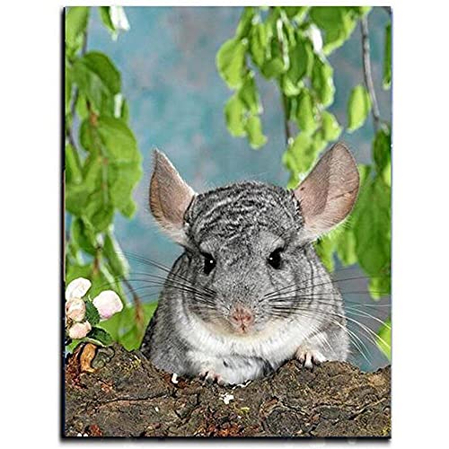 Licnay Diamond Painting Chinchilla Strass Stickerei Kunsthandwerk Große Größe Geschenk Mosaik Dekoration Kreuzstich Voller Diamant Full Kit DIY 5D,Runder Bohrer,30x40cm von Licnay