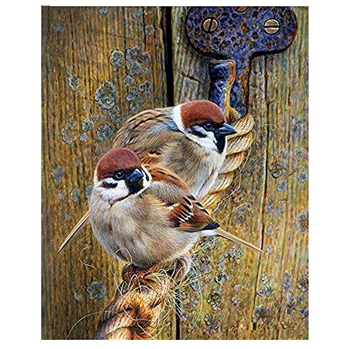 Licnay Diamond Painting Tiervögel Spatzen DIY 5D Strass Stickerei Kunsthandwerk Kreuzstich Voller Diamant Voller Kit Große Größe Geschenk Mosaik Dekoration,Läufer Bohrer,30x40cm von Licnay