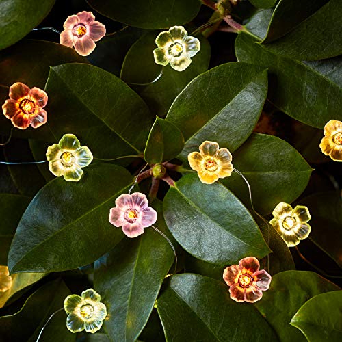 Lights4fun 20er LED Micro Lichterkette Rosen warmweiß Timer Batterie Innen- und Außenbeleuchtung Deko Blumen Lichterkette Innen Lichterkette Außen [Energieklasse A++] von Lights4fun