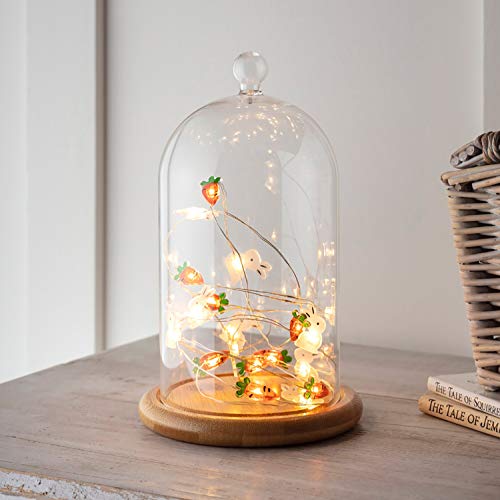 Lights4fun Glasglocke mit LED Micro Lichterkette Osterdeko von Lights4fun