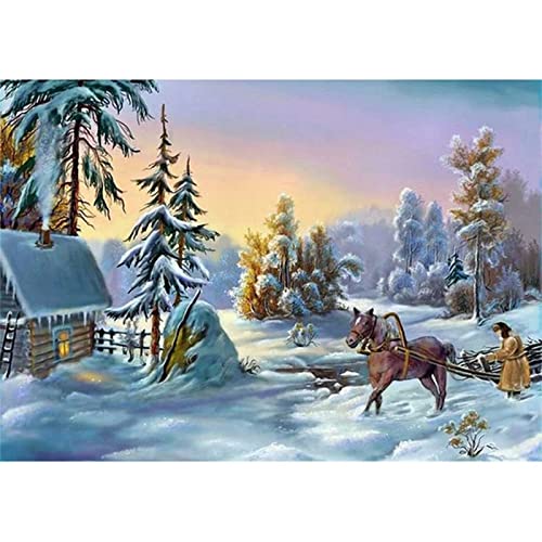 Diamant Painting Bilder Groß,Winterlandschaft,5d Diamond Painting Set,Diamond Painting Kinder Vollbohrer,Malen Nach Zahlen Erwachsene,Diy Diamonds Painting Perlen Bilder Wand Dekorationen 30x40cm von Likixin