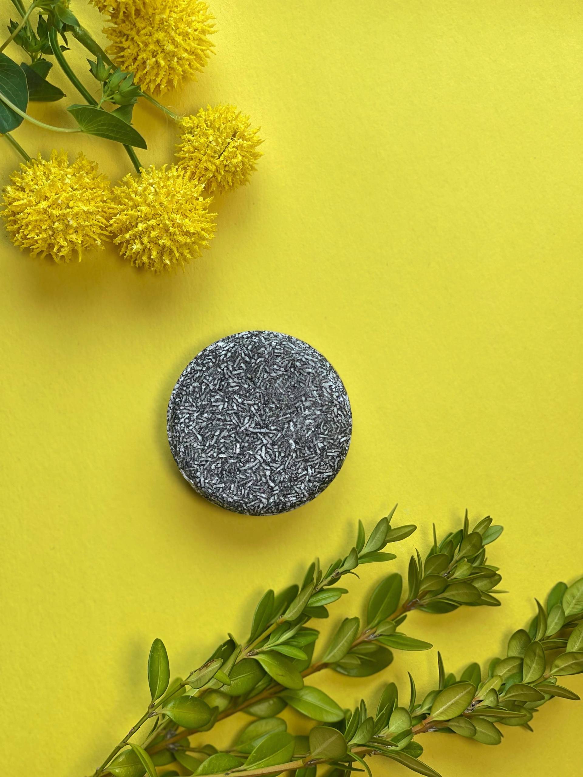 Charcoal Bio-Veganer Shampoo-Bar - Umweltfreundlich Zero Waste Plastikfrei Schönheit Und Aromatherapie Reisegröße von LiluOrganic