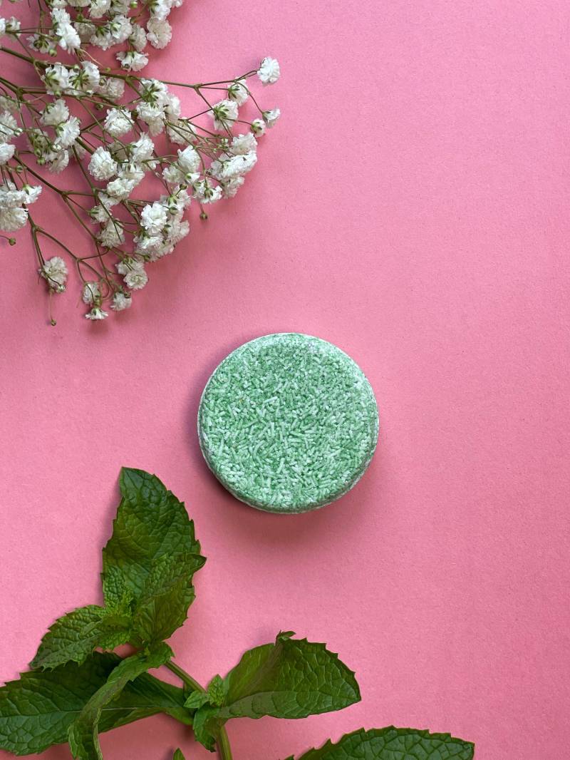 Mint Organic Vegan Shampoo Bar - Umweltfreundlich Zero Waste Plastikfrei Schönheit Und Aromatherapie Reise von LiluOrganic