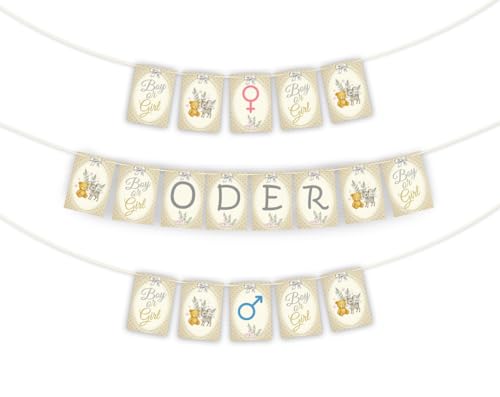 Girlande zur Gender Reveal Party – Dekoration mit eigenem Text zur Bekanntgabe des Babygeschlechts - Fotoschooting-Deko Fotoecke - Gold und Silber 20 Karten DIN A5 mit 5 m Schnur Girlande zur Gender Reveal Party – Dekoration mit eigenem Text zur Bekanntgabe des Babygeschlechts - Fotoschooting-Deko Fotoecke - Gold und Silber 20 Karten DIN A5 mit 5 m Schnur von Limonia